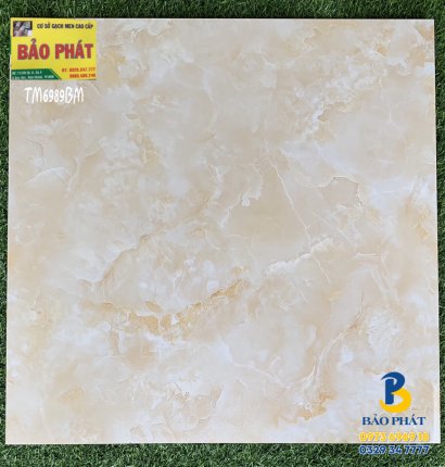 Đá Bóng Kính Toàn Phần 60x60 TM 6989 BM