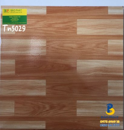 Gạch Lát Nền 50X50 Tn 5029