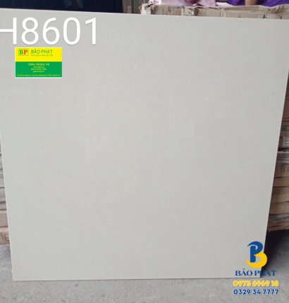 Đá Bóng Kính 80x80 Trung Quốc H8610