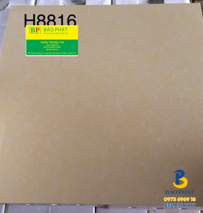 Đá Bóng Kính 80x80 Trung Quốc H8816