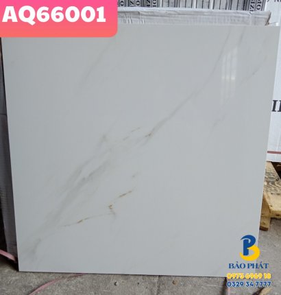 Gạch Bóng Kính 60x60 Trung Quốc AQ66001