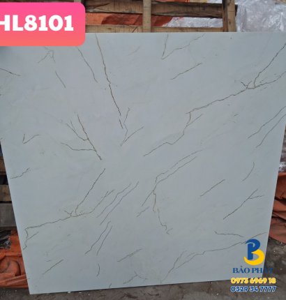 Đá Bóng Kính 80x80 Trung Quốc HL8101