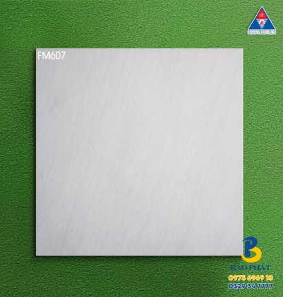 Gạch Lát Nền 60x60 Đá Mờ Tại Phú Nhuận