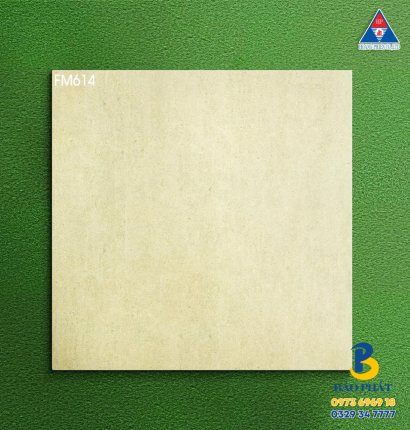 Gạch Lát Nền 60x60 Đá Mờ Tại Q12