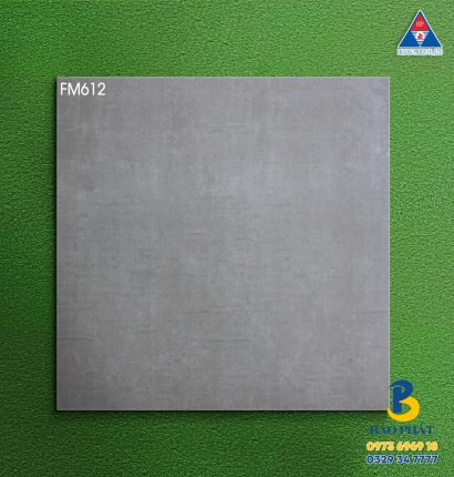 Gạch Lát Nền 60x60 Đá Mờ Tại Q9