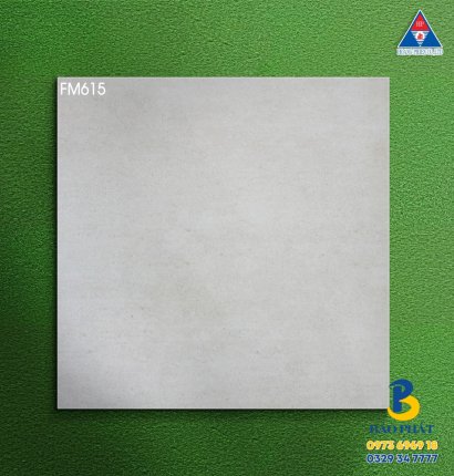 Gạch Lát Nền 60x60 Đá Mờ Tại Tân Bình