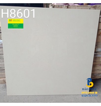 Đá Bóng Kính 80x80 Trung Quốc H8610