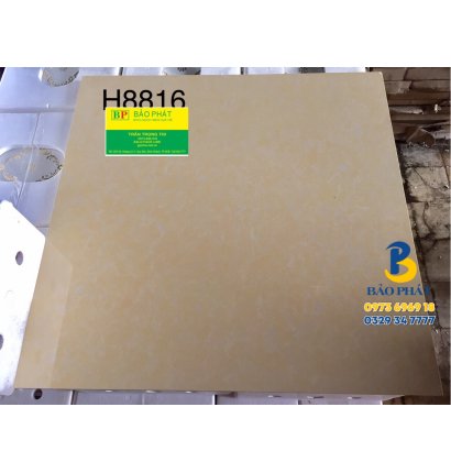 Đá Bóng Kính 80x80 Trung Quốc H8816