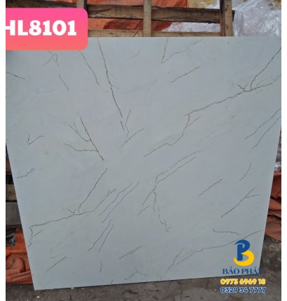 Đá Bóng Kính 80x80 Trung Quốc HL8101