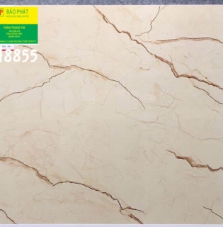 Đá Bóng Kính 80x80 Trung Quốc H8855