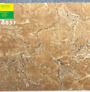 Đá Bóng Kính 80x80 Trung Quốc H8851