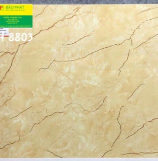 Đá Bóng Kính 80x80 Trung Quốc H8803