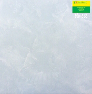 Gạch Lát Nền 50X50 UM563