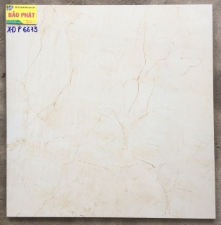 Đá Bóng Kính 60x60 XĐ F6673