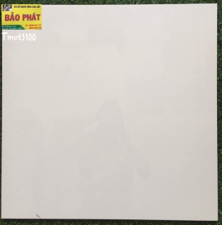 Đá Bóng Kính Toàn Phần 60x60 TMVT 3100