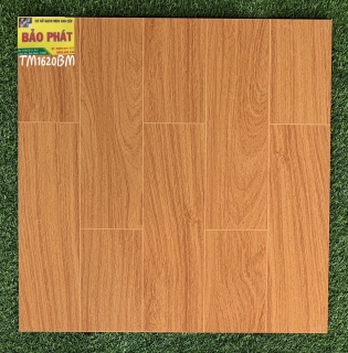 Đá Bóng Kính 60x60 TM 1620 BM