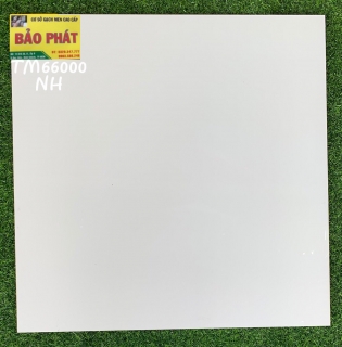 Đá Bóng Kính 60x60 TM 66000NH