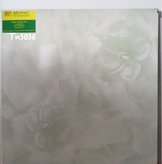 Gạch Lát Nền 50X50 Tn 5036
