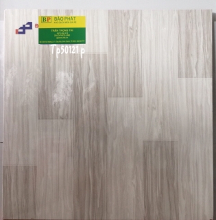 Gạch Lát Nền 50X50 TP50121P