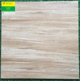 Đá Bóng Kính 60x60 TMVT 976