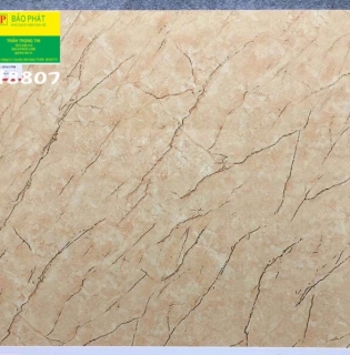 Đá Bóng Kính 80x80 Trung Quốc H8807