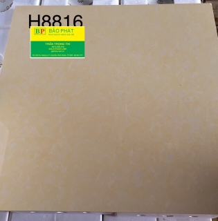 Đá Bóng Kính 80x80 Trung Quốc H8816