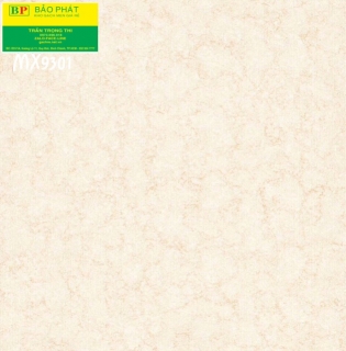 Đá bóng kính 80x80 Maximos MX9301