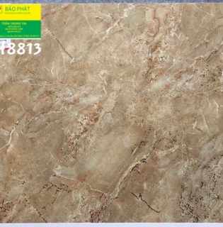 Đá Bóng Kính 80x80 Trung Quốc H8813