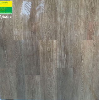 Đá Bóng Kính Toàn Phần 60x60 TMLA 6603