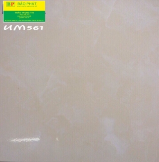 Gạch Lát Nền 50X50 UM561