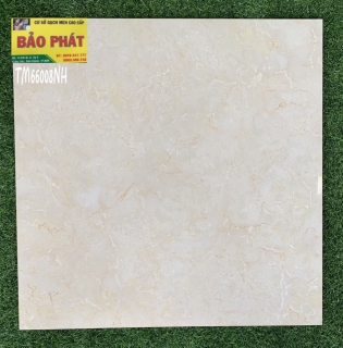 Đá Bóng Kính 60x60 TM 66008 NH