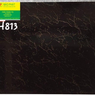 Đá Bóng Kính 80x80 Trung Quốc H813