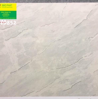 Đá Bóng Kính 80x80 Trung Quốc H9852