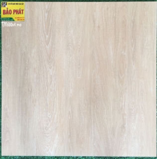 Đá Mờ 60x60 VITO TMVT 680 mo