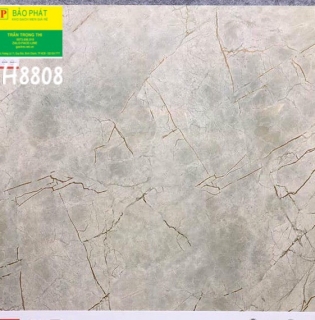 Đá Bóng Kính 80x80 Trung Quốc H8808