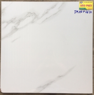 Đá Bóng Kính 60x60 TMXĐ F6670