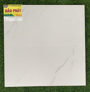 Đá Bóng Kính 60x60 TM 66012 NH