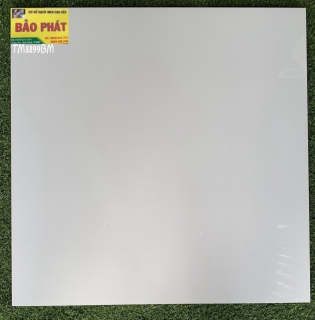 Đá Bóng Kính 60x60 TM 8899 BM