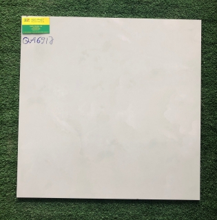 GẠCH LÁT NỀN CAO CẤP 60X60 TẠI HCM