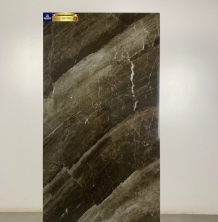 GẠCH CAO CẤP 60X120 APODIO TẠI TP HCM