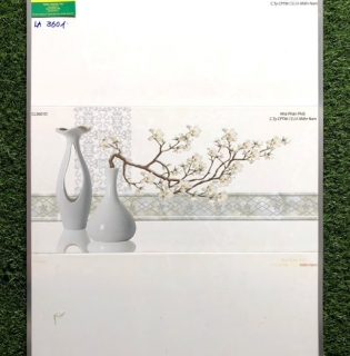 GẠCH ỐP TƯỜNG 3060 GIÁ RẺ TẠI MIỀN TÂY