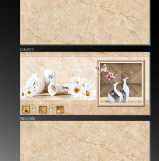 GẠCH ỐP TƯỜNG 40X80 CAO CẤP TTC