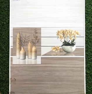 GẠCH ỐP TƯỜNG 3060 GIÁ RẺ TẠI GÒ CÔNG