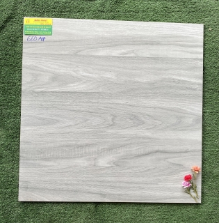 GẠCH LÁT NỀN 60X60 VÂN GỖ BÓNG KIẾNG TẠI TIỀN GIANG