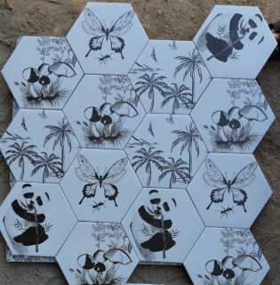 GẠCH TRANG TRÍ LỤC GIÁC TẠI Q4