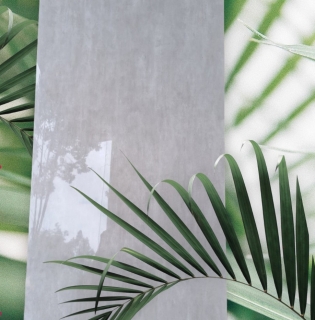 Gạch ốp tường 40x80 đá bóng kiếng nhập khẩu cao cấp