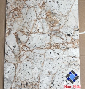 Đơn vị bán các dòng gạch giá rẻ cao cấp