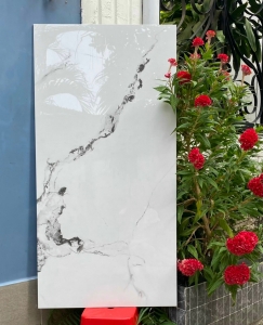 Đơn vị bán gạch ốp lát 60x120 mẫu mới nhất thị trường