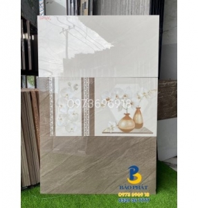 Tìm mua gạch ốp tường giá rẻ 300x600 chính hãng, giá tốt