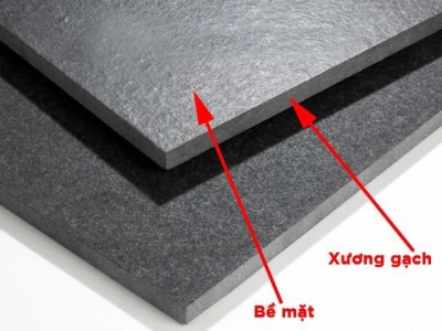 Tìm hiểu về xương gạch | Phân biệt các loại xương gạch